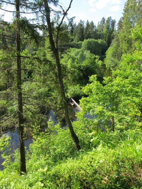 Maakond: Valgamaa Veekogu nimi: Õhne jõgi Pildistamise aeg: 9. juuni 2012 Pildistaja: H. Timm Pildistamise koht: Tõrva Asimuut: