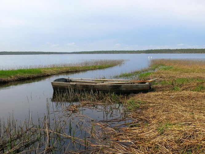 Maakond: Viljandimaa Veekogu nimi: Õisu järv Pildistamise aeg: 13. mai 2013 Pildistaja: H. Timm Pildistamise koht: teadmata Asimuut: