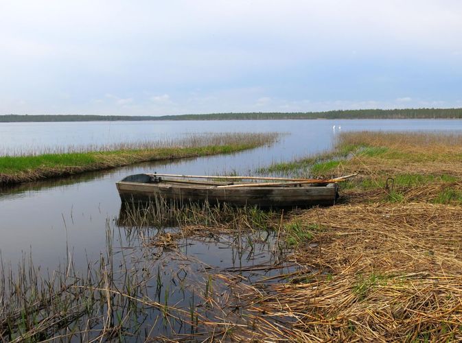 Maakond: Viljandimaa Veekogu nimi: Õisu järv Pildistamise aeg: 13. mai 2013 Pildistaja: H. Timm Pildistamise koht: teadmata Asimuut: