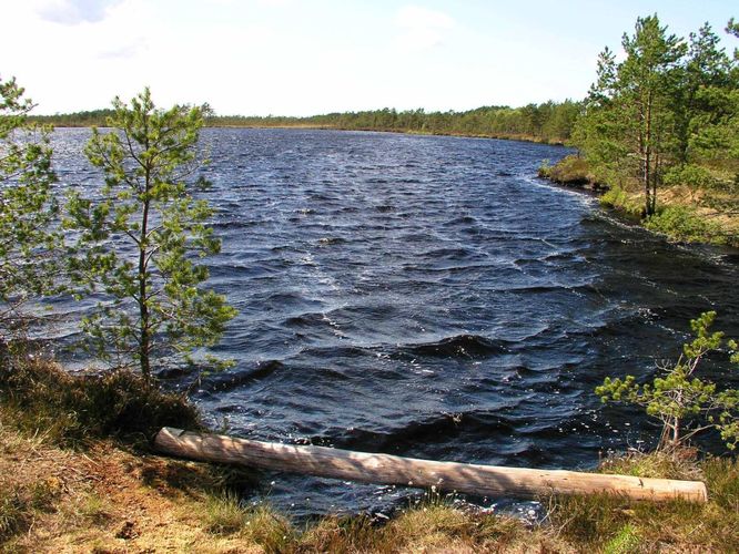 Maakond: Viljandimaa Veekogu nimi: Öördi järv Pildistamise aeg: 21. mai 2004 Pildistaja: H. Timm Pildistamise koht: teadmata Asimuut: