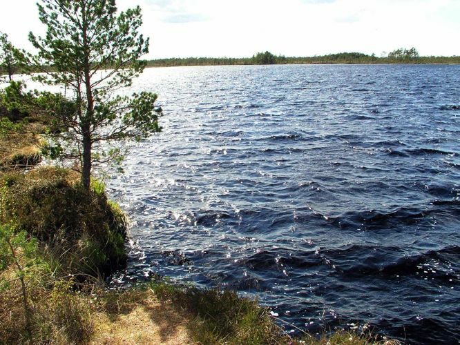 Maakond: Viljandimaa Veekogu nimi: Öördi järv Pildistamise aeg: 21. mai 2004 Pildistaja: H. Timm Pildistamise koht: teadmata Asimuut: