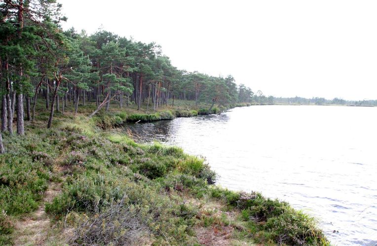 Maakond: Viljandimaa Veekogu nimi: Ördi järv Pildistamise aeg: august 2007 Pildistaja: H. Timm Pildistamise koht: teadmata Asimuut: