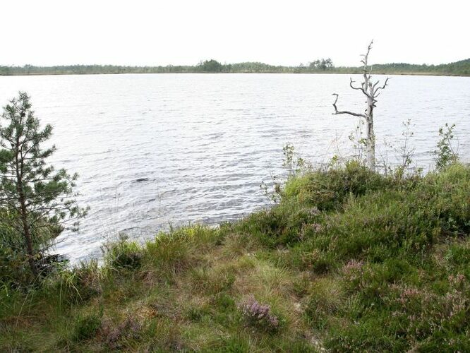 Maakond: Viljandimaa Veekogu nimi: Ördi järv Pildistamise aeg: august 2007 Pildistaja: H. Timm Pildistamise koht: teadmata Asimuut: