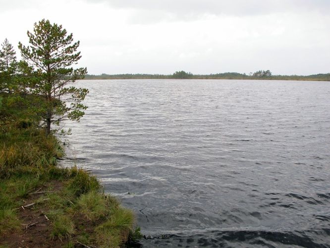 Maakond: Viljandimaa Veekogu nimi: Öördi järv Pildistamise aeg: 14. september 2010 Pildistaja: H. Timm Pildistamise koht: teadmata Asimuut: