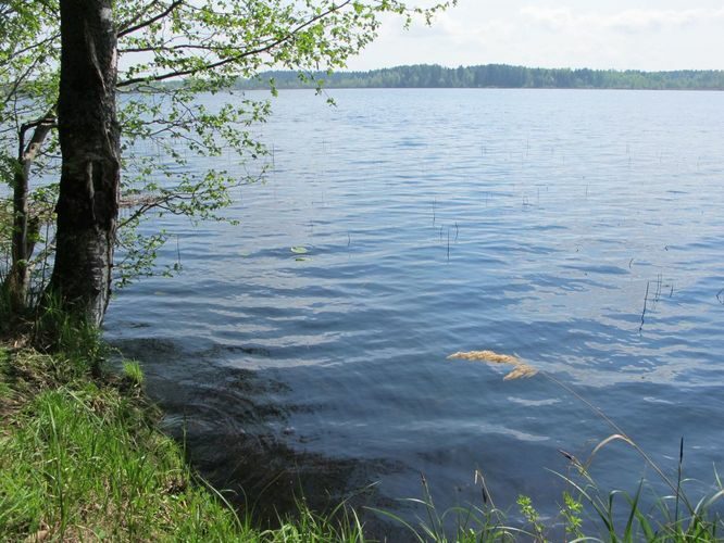 Maakond: Võrumaa Veekogu nimi: Pabra järv Pildistamise aeg: 17. mai 2010 Pildistaja: H. Timm Pildistamise koht: teadmata Asimuut: