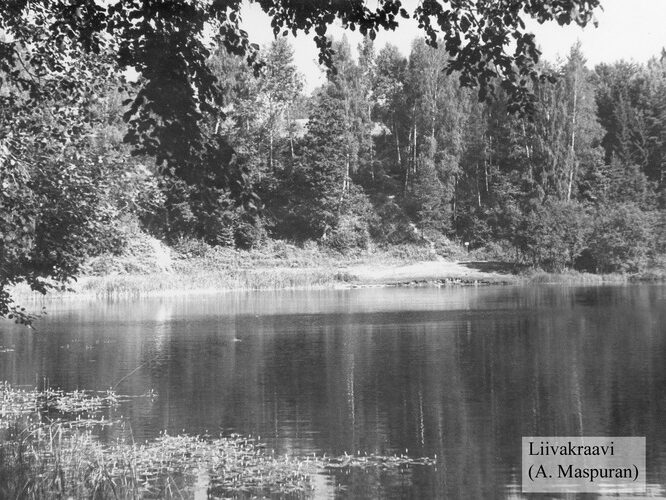 Maakond: Võrumaa Veekogu nimi: Paganamaa Liivajärv Pildistamise aeg: teadmata Pildistaja: A. Maspuran Pildistamise koht: teadmata Asimuut: