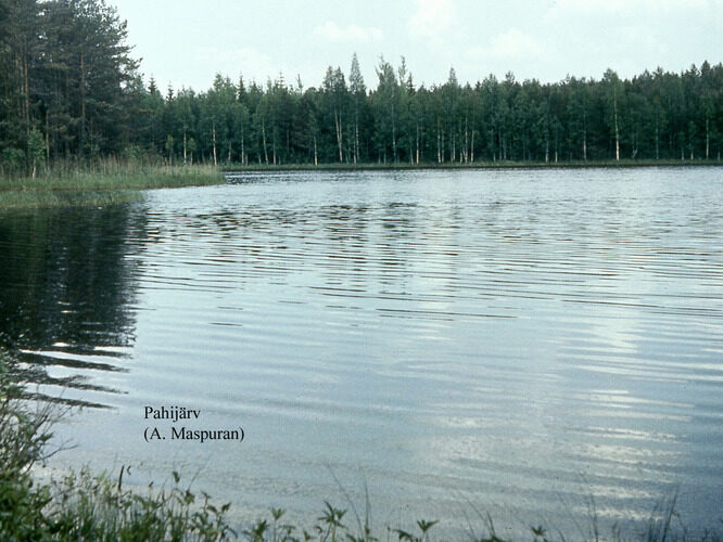 Maakond: Võrumaa Veekogu nimi: Pahijärv Pildistamise aeg: teadmata Pildistaja: A. Maspuran Pildistamise koht: teadmata Asimuut: