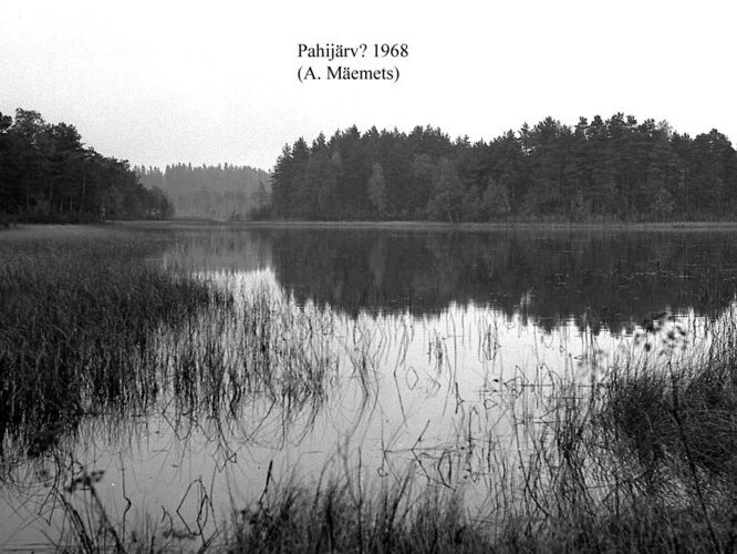 Maakond: Võrumaa Veekogu nimi: Pahijärv Pildistamise aeg: 1968 Pildistaja: A. Mäemets Pildistamise koht: teadmata Asimuut: