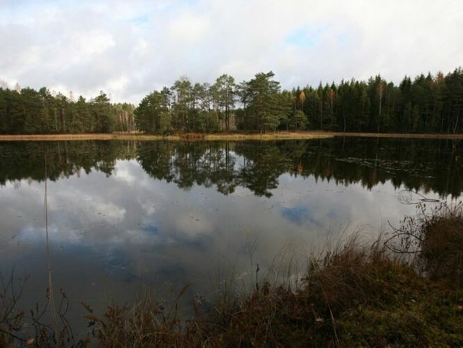 Maakond: Võrumaa Veekogu nimi: Pahijärv Pildistamise aeg: 20. november 2008 Pildistaja: H. Timm Pildistamise koht: teadmata Asimuut: