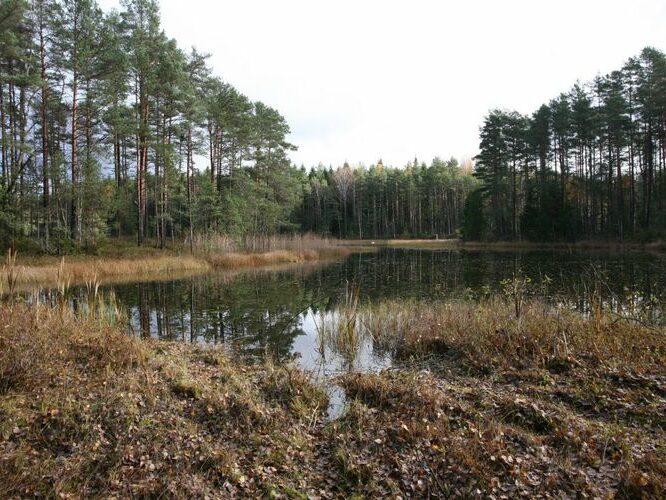 Maakond: Võrumaa Veekogu nimi: Pahijärv Pildistamise aeg: 20. november 2008 Pildistaja: H. Timm Pildistamise koht: teadmata Asimuut: