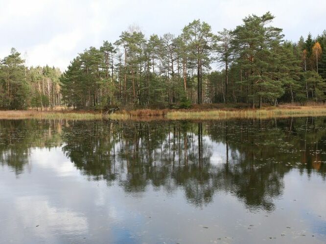 Maakond: Võrumaa Veekogu nimi: Pahijärv Pildistamise aeg: 20. november 2008 Pildistaja: H. Timm Pildistamise koht: teadmata Asimuut: