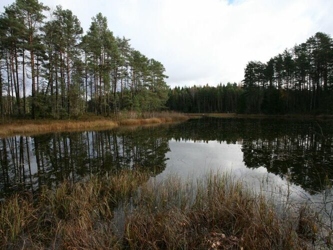 Maakond: Võrumaa Veekogu nimi: Pahijärv Pildistamise aeg: 20. november 2008 Pildistaja: H. Timm Pildistamise koht: teadmata Asimuut: