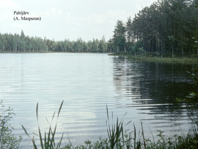 Maakond: Võrumaa Veekogu nimi: Pahijärv Pildistamise aeg: teadmata Pildistaja: A. Maspuran Pildistamise koht: teadmata Asimuut: