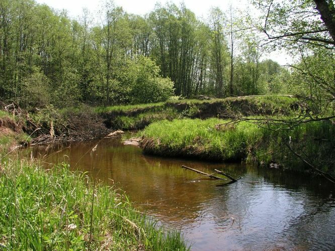 Maakond: Võrumaa Veekogu nimi: Pähni jõgi Pildistamise aeg: 22. mai 2007 Pildistaja: H. Timm Pildistamise koht: Hintsiko Asimuut: