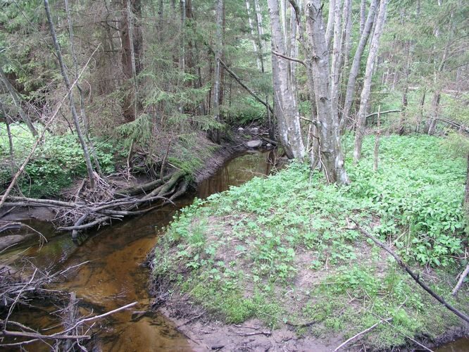 Maakond: Võrumaa Veekogu nimi: Pähni jõgi Pildistamise aeg: 22. mai 2007 Pildistaja: H. Timm Pildistamise koht: Pähni Asimuut: