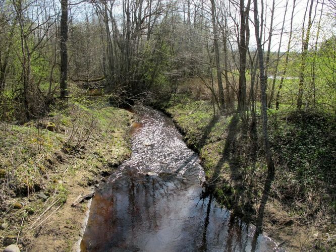 Maakond: Võrumaa Veekogu nimi: Pähni jõgi Pildistamise aeg: 28. aprill 2012 Pildistaja: H. Timm Pildistamise koht: Lüütsepa Asimuut: