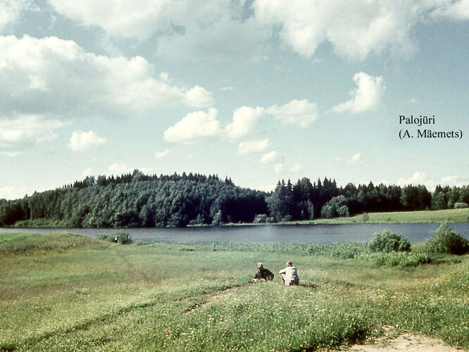 Maakond: Võrumaa Veekogu nimi: Palojüri järv Pildistamise aeg: teadmata Pildistaja: A. Mäemets Pildistamise koht: teadmata Asimuut: