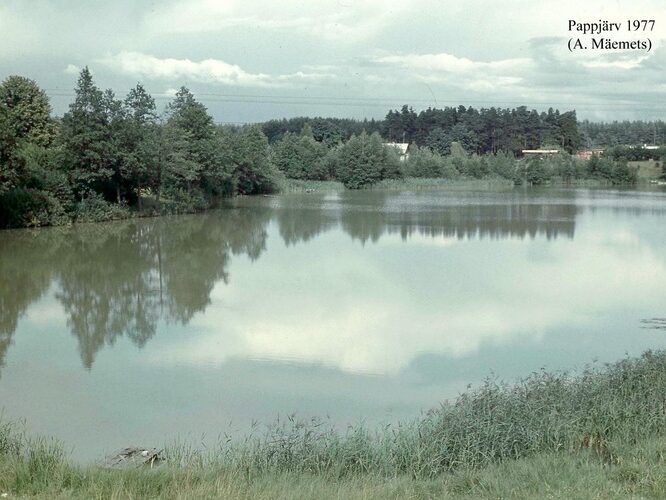 Maakond: Võrumaa Veekogu nimi: Pappjärv Pildistamise aeg: 1977 Pildistaja: A. Mäemets Pildistamise koht: SW kaldalt Asimuut: ENE