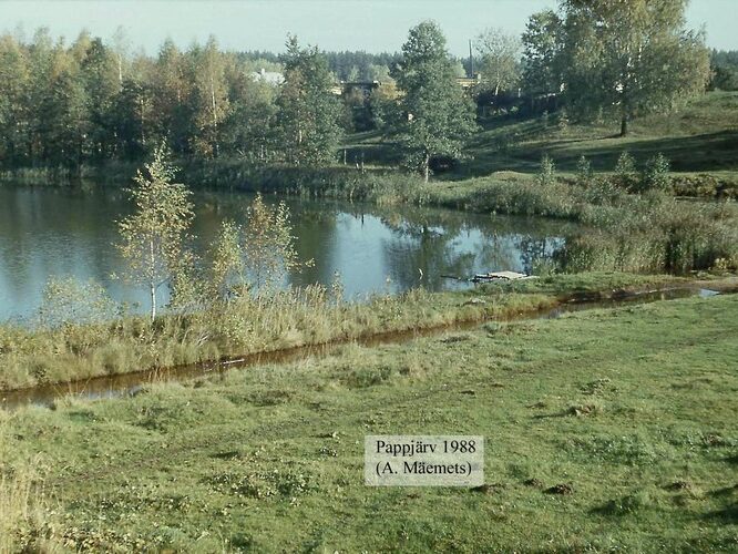 Maakond: Võrumaa Veekogu nimi: Pappjärv Pildistamise aeg: 1988 Pildistaja: A. Mäemets Pildistamise koht: SE ots Asimuut: NE