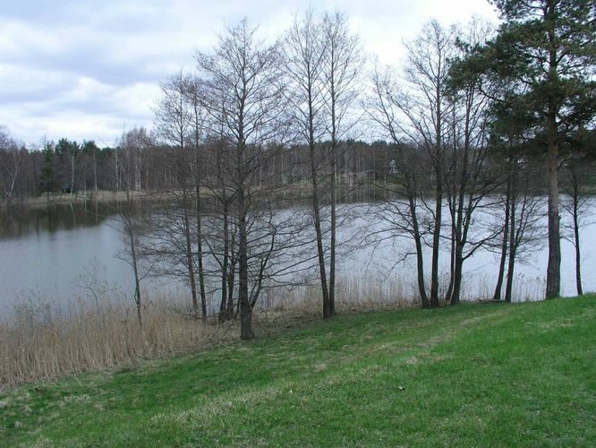 Maakond: Võrumaa Veekogu nimi: Pappjärv Pildistamise aeg: 5. mai 2005 Pildistaja: H. Timm Pildistamise koht: teadmata Asimuut: