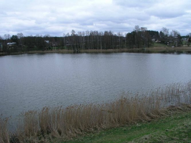 Maakond: Võrumaa Veekogu nimi: Pappjärv Pildistamise aeg: 5. mai 2005 Pildistaja: H. Timm Pildistamise koht: teadmata Asimuut: