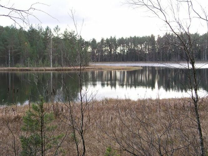 Maakond: Viljandimaa Veekogu nimi: Parika Väikejärv Pildistamise aeg: 29. oktoober 2006 Pildistaja: H. Timm Pildistamise koht: teadmata Asimuut: