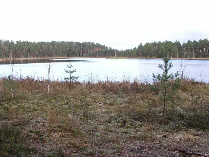 Maakond: Viljandimaa Veekogu nimi: Parika Väikejärv Pildistamise aeg: 29. oktoober 2006 Pildistaja: H. Timm Pildistamise koht: teadmata Asimuut: