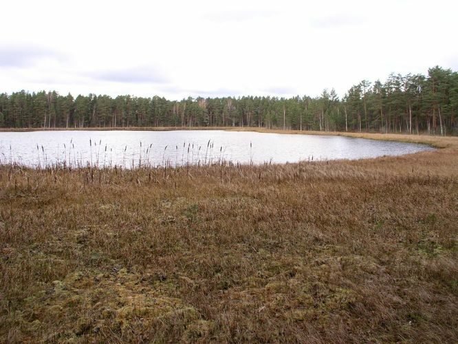 Maakond: Viljandimaa Veekogu nimi: Parika Väikejärv Pildistamise aeg: 29. oktoober 2006 Pildistaja: H. Timm Pildistamise koht: teadmata Asimuut: