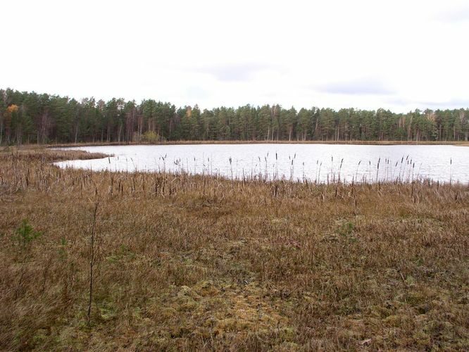 Maakond: Viljandimaa Veekogu nimi: Parika Väikejärv Pildistamise aeg: 29. oktoober 2006 Pildistaja: H. Timm Pildistamise koht: teadmata Asimuut: