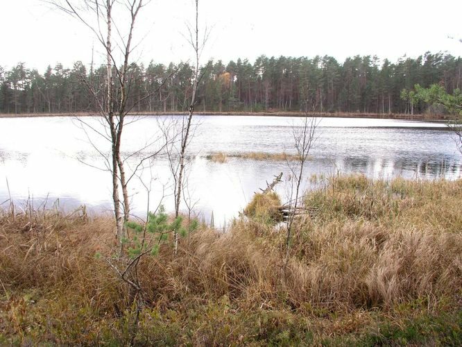 Maakond: Viljandimaa Veekogu nimi: Parika Väikejärv Pildistamise aeg: 29. oktoober 2006 Pildistaja: H. Timm Pildistamise koht: teadmata Asimuut: