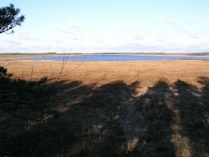 Maakond: Viljandimaa Veekogu nimi: Parika järv Pildistamise aeg: 29. oktoober 2006 Pildistaja: H. Timm Pildistamise koht: tornist Asimuut: