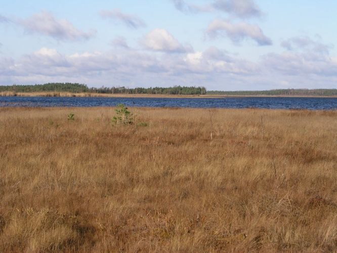 Maakond: Viljandimaa Veekogu nimi: Parika järv Pildistamise aeg: 29. oktoober 2006 Pildistaja: H. Timm Pildistamise koht: teadmata Asimuut: