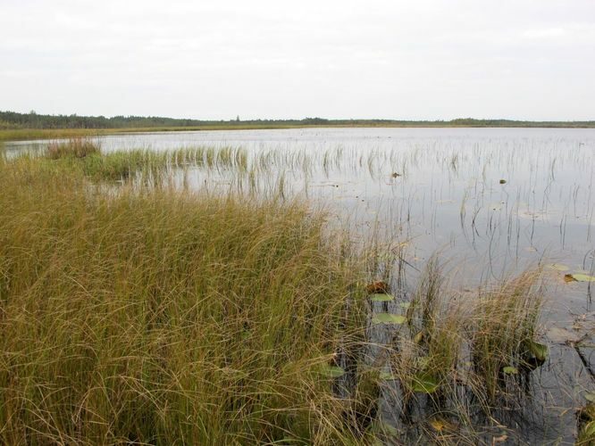 Maakond: Viljandimaa Veekogu nimi: Parika järv Pildistamise aeg: 17. september 2012 Pildistaja: H. Timm Pildistamise koht: teadmata Asimuut: