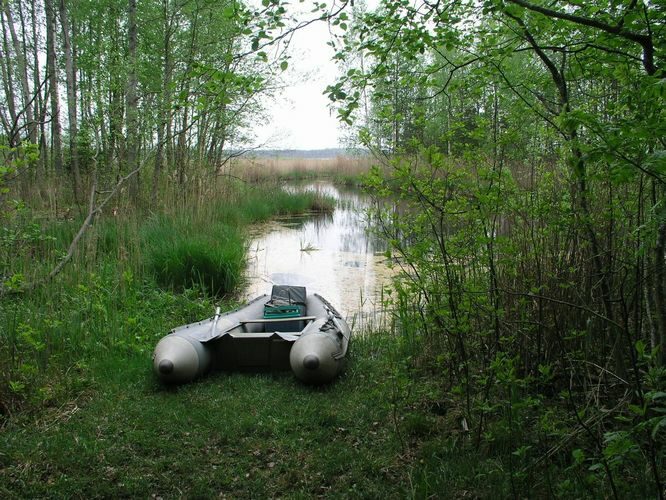 Maakond: Viljandimaa Veekogu nimi: Parika järve väljavool Pildistamise aeg: 12. mai 2008 Pildistaja: H. Timm Pildistamise koht: teadmata Asimuut: