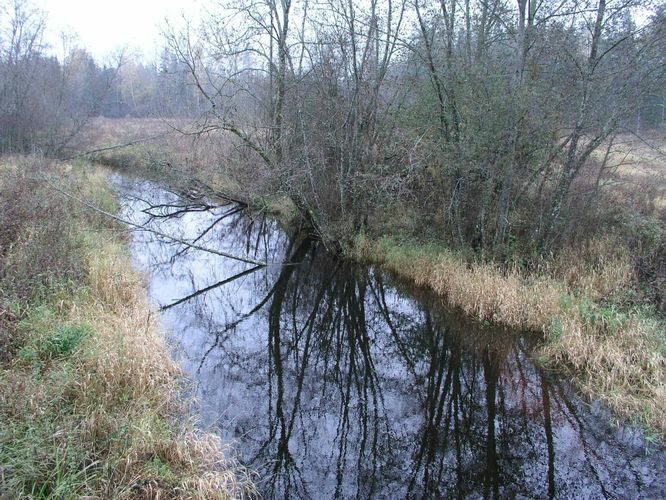 Maakond: Võrumaa Veekogu nimi: Pärlijõgi Pildistamise aeg: 19. oktoober 2004 Pildistaja: H. Timm Pildistamise koht: alamjooks Asimuut: