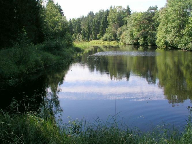 Maakond: Võrumaa Veekogu nimi: Pärlijõgi Pildistamise aeg: august 2009 Pildistaja: H. Timm Pildistamise koht: Saarlase paisjärv Asimuut: