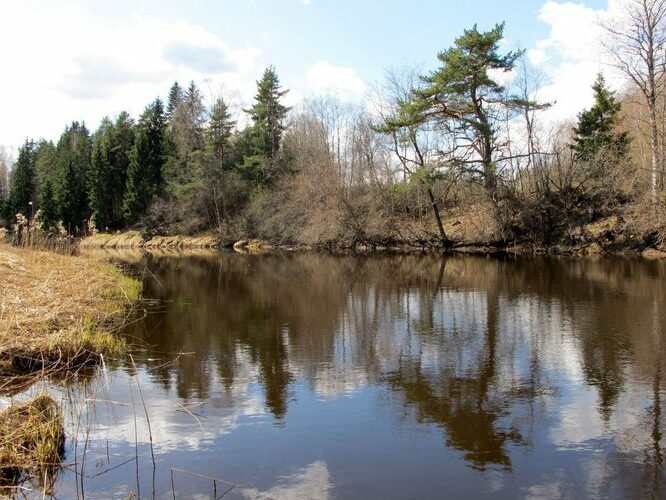 Maakond: Võrumaa Veekogu nimi: Pärlijõgi Pildistamise aeg: 25. aprill 2010 Pildistaja: H. Timm Pildistamise koht: Saarlase paisjärv Asimuut: