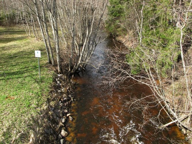 Maakond: Võrumaa Veekogu nimi: Pärlijõgi Pildistamise aeg: 25. aprill 2010 Pildistaja: H. Timm Pildistamise koht: Pärlijõe Asimuut: