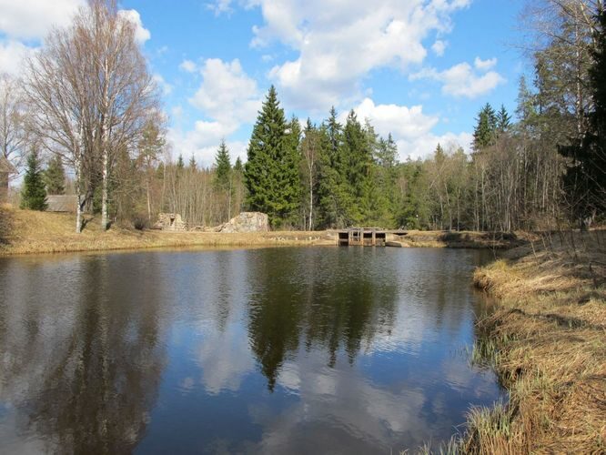 Maakond: Võrumaa Veekogu nimi: Pärlijõgi Pildistamise aeg: 25. aprill 2010 Pildistaja: H. Timm Pildistamise koht: Saarlase paisjärv Asimuut: