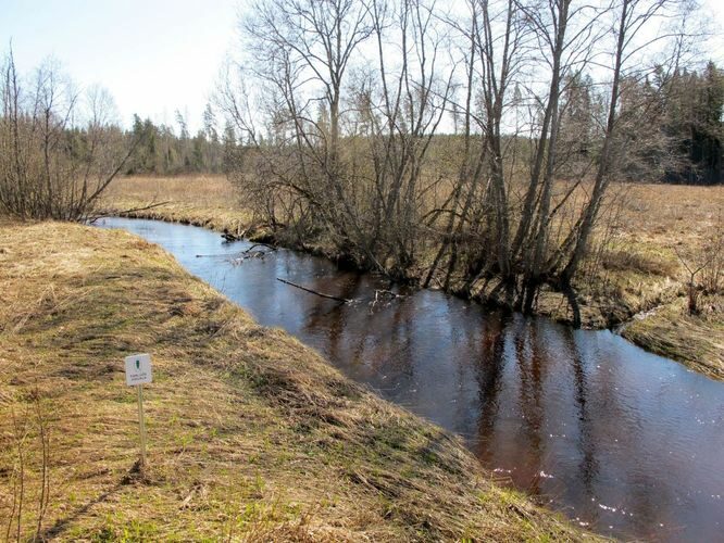 Maakond: Võrumaa Veekogu nimi: Pärlijõgi Pildistamise aeg: 25. aprill 2010 Pildistaja: H. Timm Pildistamise koht: alamjooksu sild Asimuut: