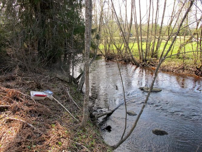 Maakond: Võrumaa Veekogu nimi: Pärlijõgi Pildistamise aeg: 28. aprill 2012 Pildistaja: H. Timm Pildistamise koht: Pärlijõe Asimuut: