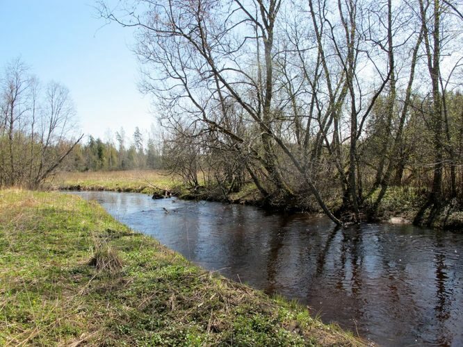 Maakond: Võrumaa Veekogu nimi: Pärlijõgi Pildistamise aeg: 28. aprill 2012 Pildistaja: H. Timm Pildistamise koht: alamjooksu sillast vv Asimuut: