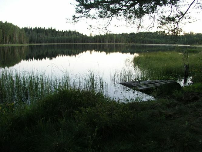 Maakond: Võrumaa Veekogu nimi: Pedeja järv Pildistamise aeg: august 2009 Pildistaja: H. Timm Pildistamise koht: teadmata Asimuut: