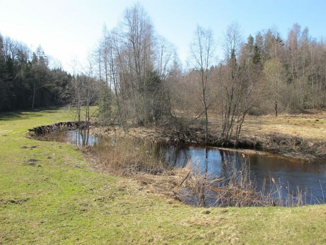 Maakond: Võrumaa Veekogu nimi: Pedetsi jõgi Pildistamise aeg: 25. aprill 2010 Pildistaja: H. Timm Pildistamise koht: Huuhanna Asimuut: