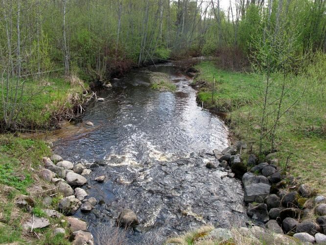 Maakond: Võrumaa Veekogu nimi: Pedetsi jõgi Pildistamise aeg: 8. mai 2012 Pildistaja: H. Timm Pildistamise koht: Kiviora Asimuut: