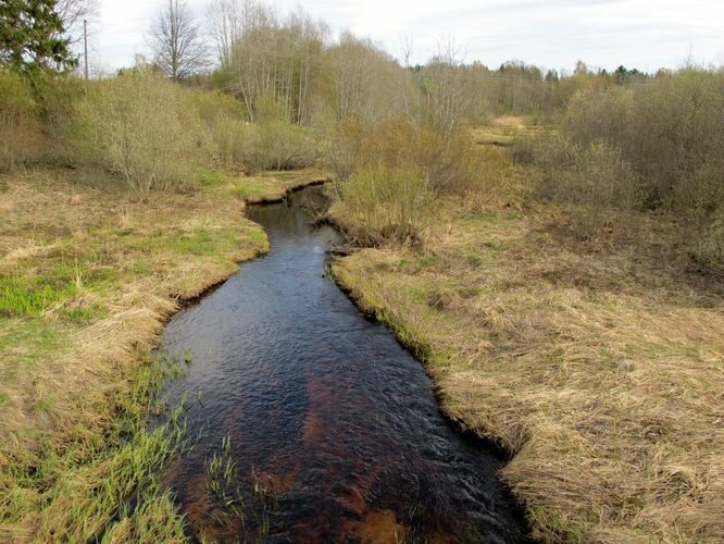 Maakond: Võrumaa Veekogu nimi: Pedetsi jõgi Pildistamise aeg: 3. mai 2012 Pildistaja: H. Timm Pildistamise koht: Missoküla Asimuut: