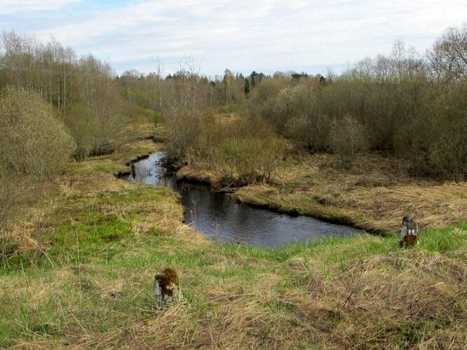 Maakond: Võrumaa Veekogu nimi: Pedetsi jõgi Pildistamise aeg: 3. mai 2012 Pildistaja: H. Timm Pildistamise koht: Missoküla Asimuut: