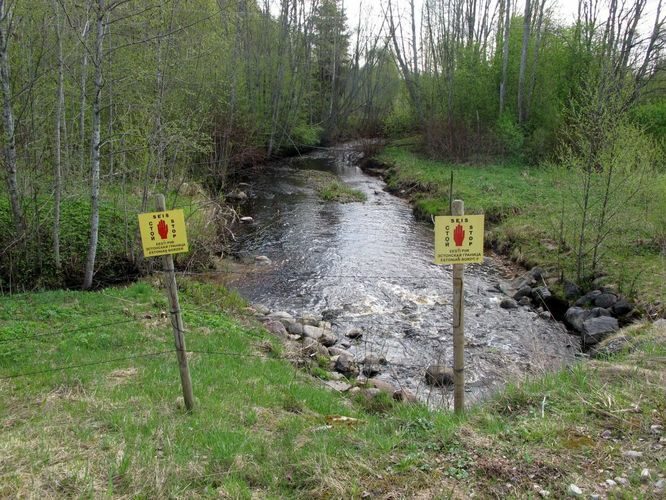 Maakond: Võrumaa Veekogu nimi: Pedetsi jõgi Pildistamise aeg: 8. mai 2012 Pildistaja: H. Timm Pildistamise koht: Kiviora Asimuut: