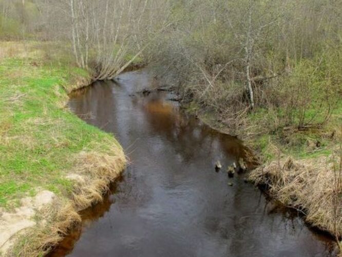 Maakond: Võrumaa Veekogu nimi: Peeli jõgi Pildistamise aeg: 28. aprill 2012 Pildistaja: H. Timm Pildistamise koht: Laurimäe Asimuut: