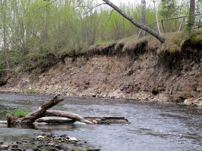 Maakond: Võrumaa Veekogu nimi: Peetri jõgi Pildistamise aeg: 7. mai 2012 Pildistaja: H. Timm Pildistamise koht: Kalkahju Asimuut: